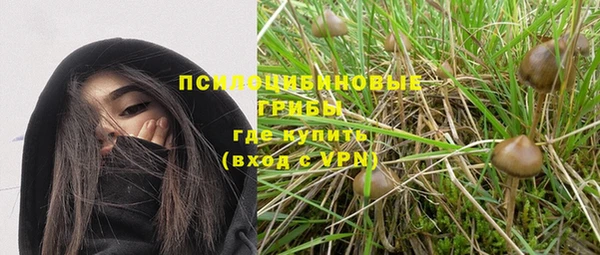 гидропоника Арсеньев